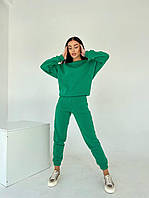 Женский теплый удобный прогулочный костюм свитшот и штаны джоггеры спортивный костюм трехнитка на флисе Трава, 42/44