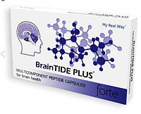 BrainTIDE PLUS (комплекс для улучшения работы головного мозга)