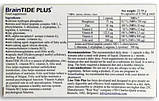 BrainTIDE PLUS (комплекс для поліпшення роботи головного мозку), фото 4