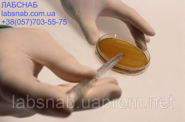 Агар-агар (для мікробіологічних цілей), фото 1