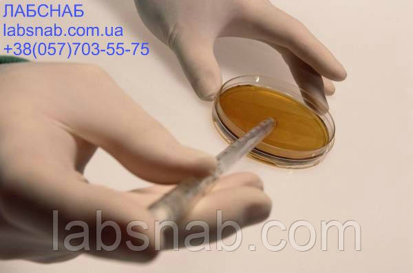 Жовч яловичи, фото 1