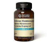 Мультивитамины, Defense Maintenance, Защитная формула, Nature s Sunshine Products, США, 120 капсул