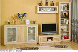 Меблі для вітальні "Корвет", золота лоза (БМФ) 3184*600*2050, фото 3