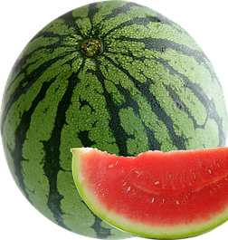 Насіння кавуна і дині. Фасовка 100г