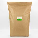 Кукурудза цукрова, зерно кукурудзи, фото 6