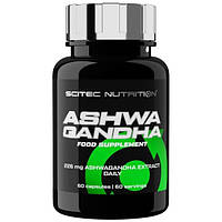 Ashwagandha Scitec Nutrition (60 капсул)