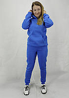 Теплый зимний женский спортивный костюм цвета светло синий из ткани Пенье XL, XXL, 3XL Код/Артикул 64 11217