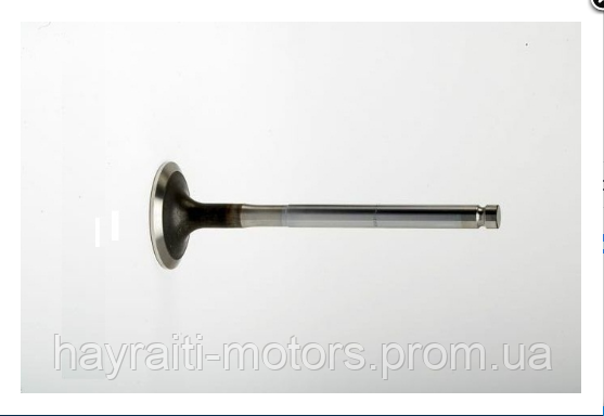 3142L081 Впускной клапан