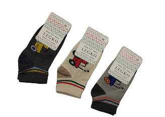 Шкарпетки дитячі демісезонні для хлопчика, середньої довжини LEGKO, Версаль (розмір 14)