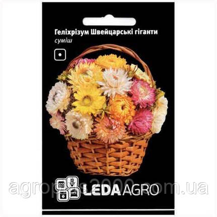 Насіння Геліхризум Швейцарські Гіганти суміш 0,2 грама Hem Zaden Leda Agro, фото 1
