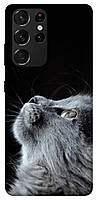 Чехол с принтом для Samsung Galaxy S21 Ultra / для самсунг галакси с21 ультра Cute cat