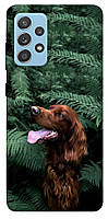 Чехол с принтом для Samsung Galaxy A52 4G, Samsung Galaxy A52 5G / для самсунг галакси а52 Собака в зелени