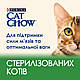 Пурина Cat Chow Special Care Sterelized сухий корм для стерилізованих кішок із куркою 15КГ, фото 6