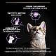 Пурина Про План Kitten Healthy Start сухий корм для кошенят для з куркою 10КГ, фото 6