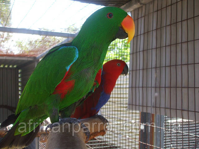 Сексуалды ана мен қыздың порносын көріңіз