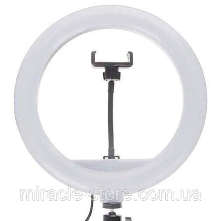 Кільцева LED-лампа Ring Light CXB-300, фото 2