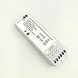 Димер універсальний Biom 15A 2.4G-4zone U-R-01-15A-2,4G 15A 2.4G, фото 3