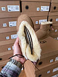 Жіночі угги UGG Mini Bailey Bow II Chestnut Brown 1016501-CHE, фото 4