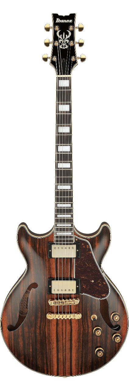 Напівакустична гітара IBANEZ AM93ME NT, фото 1