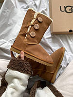 Женские мини-сапоги UGG Bailey Button Triplet II Boot Caramel Brown ALL07529 (с мехом)