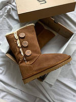 Женские мини-сапоги UGG Bailey Button Triplet II Boot Caramel Brown ALL07529 (с мехом) 37