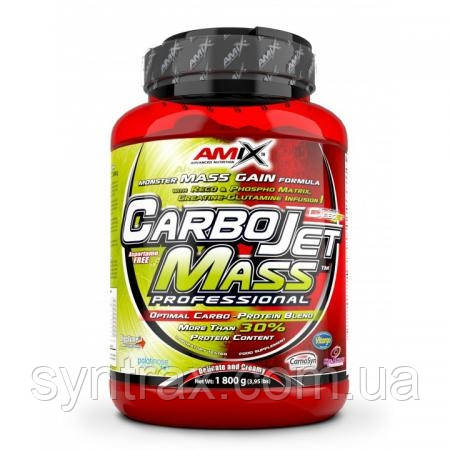 Amix CarboJet Mass Professional 1800 g , гейнер