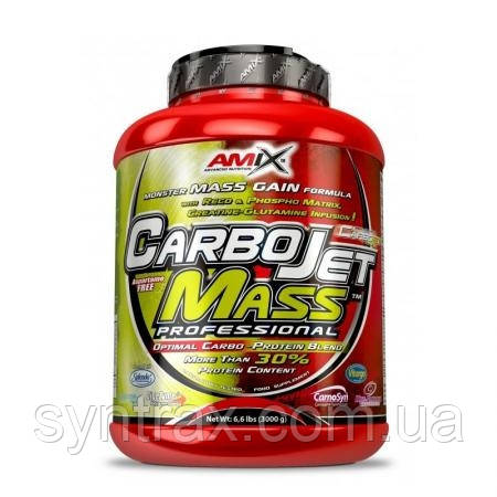 Amix CarboJet Mass Professional 3000 g , гейнер