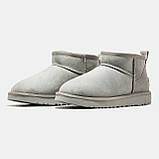 Жіночі угги UGG Ultra Mini Milk Light Grey (c мехом) ALL10010, фото 4