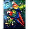 Набір алмазної мозаїки (вишивки) Springos 40 x 30 см DP0029, фото 7