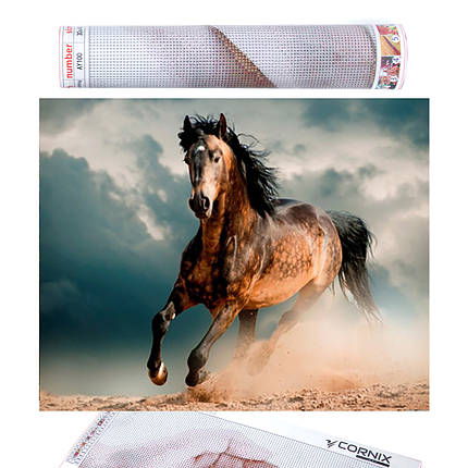 Набір алмазної мозаїки (вишивки) Cornix Art 40 x 30 см AY10, фото 1