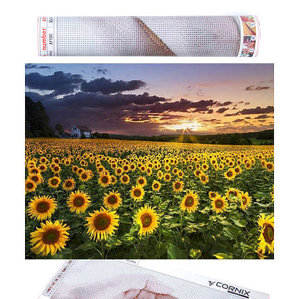 Набір алмазної мозаїки (вишивки) Cornix Art 40 x 30 см AY22, фото 1