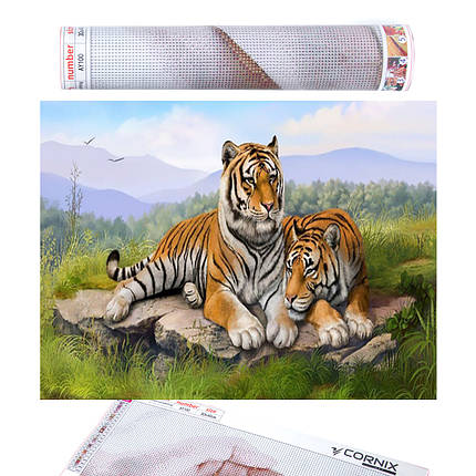 Набір алмазної мозаїки (вишивки) Cornix Art 40 x 30 см AY44, фото 1