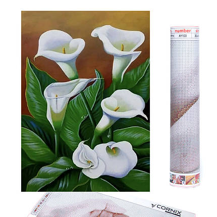 Набір алмазної мозаїки (вишивки) Cornix Art 40 x 30 см AY48, фото 1