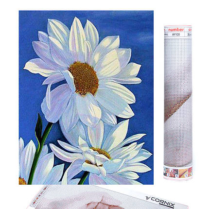 Набір алмазної мозаїки (вишивки) Cornix Art 40 x 30 см AY74, фото 1
