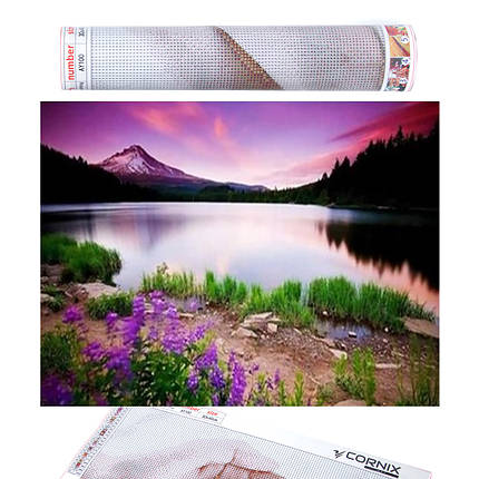 Набір алмазної мозаїки (вишивки) Cornix Art 40 x 30 см AY79, фото 1