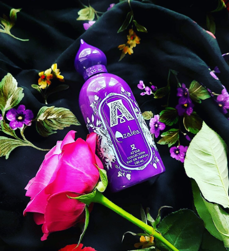 Attar azalea sales
