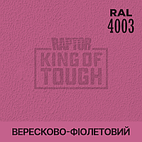 Пігмент для фарбування покриття RAPTOR Вересково-фіолетовий (RAL 4003)