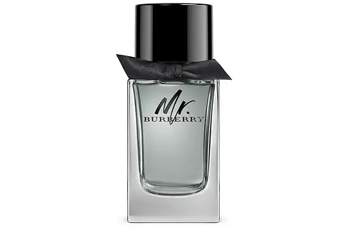 Burberry mr. burberry 100 ml hotsell