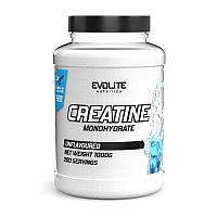 Creatine Monohydrate (1 kg, unflavoured)