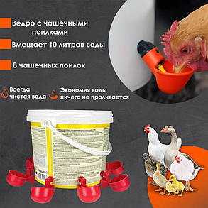 Поїльник для птахів, відро на 8 чашкових поїлок. Поїлка-відро, з автоматичним подаванням води для курей, бройлерів, фото 3