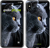 Силиконовый чехол Endorphone на iPhone XS Красивый кот (3038u-1583-26985)