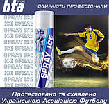 Охолоджувальний спрей (заморозка) HTA Spray Ice 500 мл, фото 3