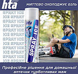 Охолоджувальний спрей (заморозка) HTA Spray Ice 500 мл, фото 9