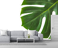 Сучасні вінілові фотошпалери з листами пальм для інтер'єру будинку, квартири, офісу
