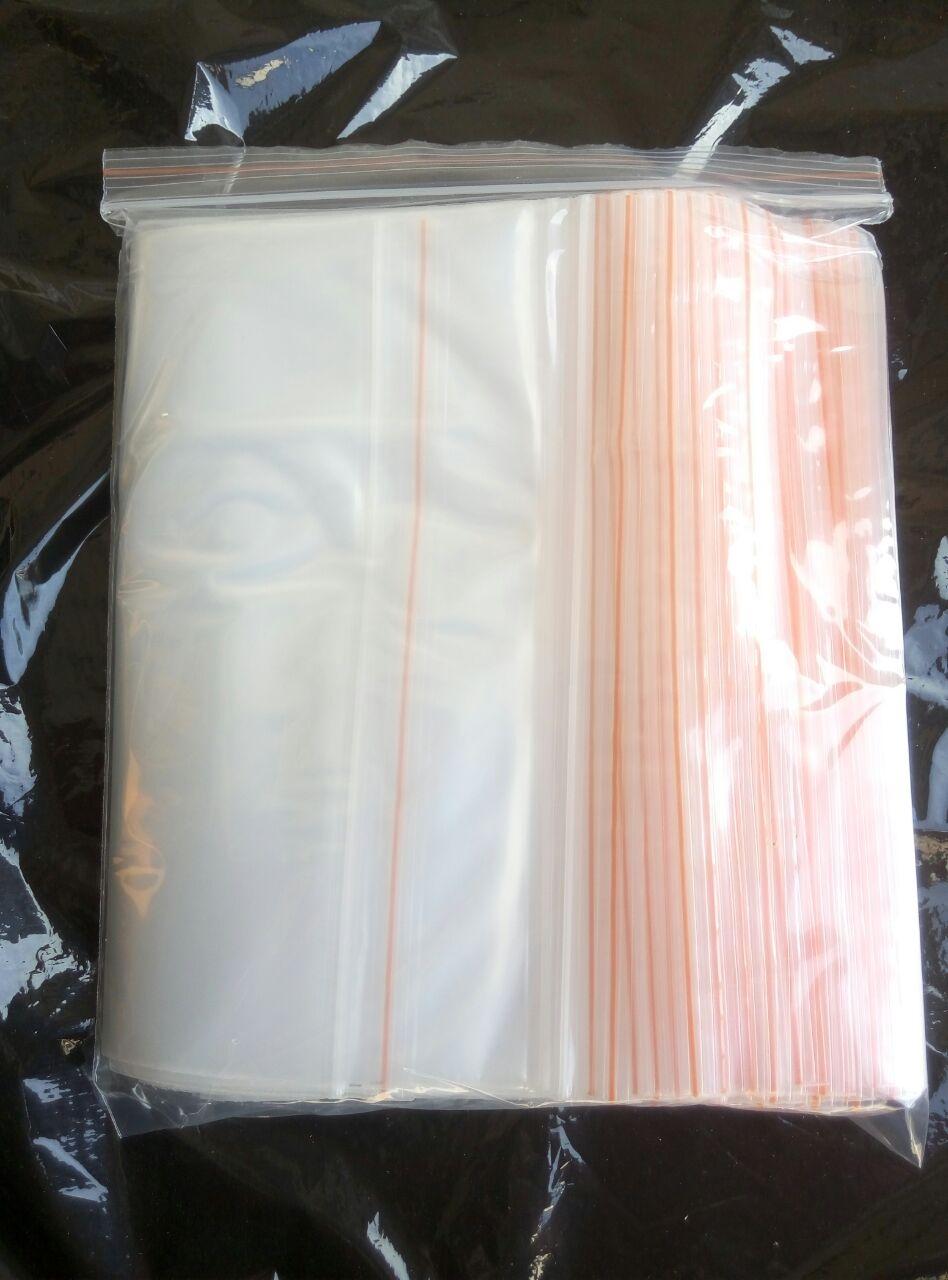 Пакет Zip Lock 25*35 (100 шт.)