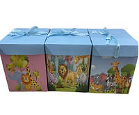 Коробка подарункова картонна M "Madagascar" 22*22см R91085-M /480/ (R91085-M)