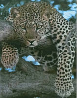 Набір для творчості алмазна картина Леопард на відпочинку Strateg розміром 40х50 см (D0051) (D0051)