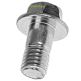 Болт кріплення мембрани на насос Agroplast, фото 2