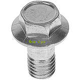 Болт кріплення мембрани на насос Agroplast, фото 3