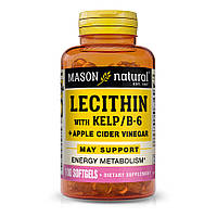 Натуральная добавка Mason Natural Lecithin With Kelp/Vitamin B6 Plus Cider Vinegar, 100 капсул